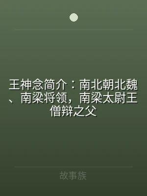 王神念简介：南北朝北魏、南梁将领，南梁太