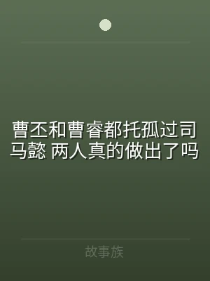 曹丕和曹睿都托孤过司马懿 两人真的做出了