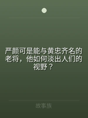 严颜可是能与黄忠齐名的老将，他如何淡出人