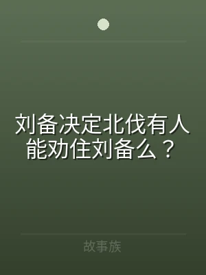 刘备决定北伐有人能劝住刘备么？