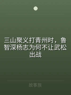 三山聚义打青州时，鲁智深杨志为何不让武松