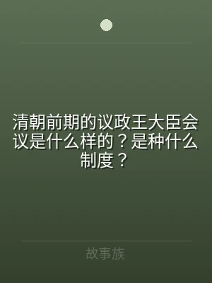 清朝前期的议政王大臣会议是什么样的？是种