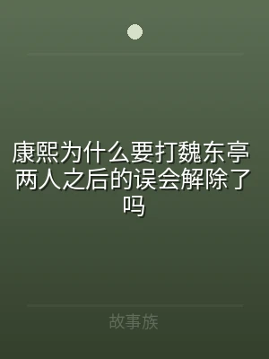 康熙为什么要打魏东亭 两人之后的误会解除