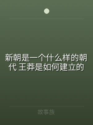 新朝是一个什么样的朝代 王莽是如何建立的