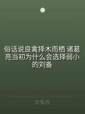 俗话说良禽择木而栖 诸葛亮当初为什么会选