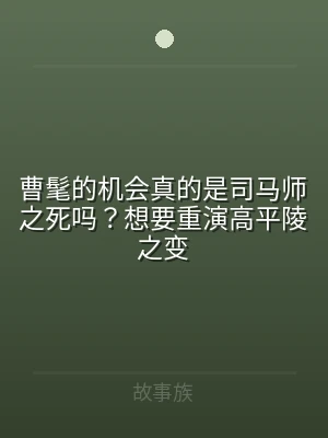 曹髦的机会真的是司马师之死吗？想要重演高