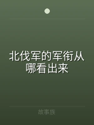 北伐军的军衔从哪看出来