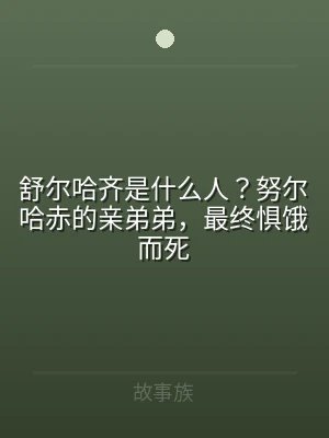 舒尔哈齐是什么人？努尔哈赤的亲弟弟，最终