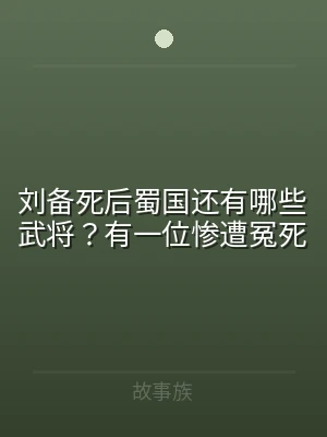 刘备死后蜀国还有哪些武将？有一位惨遭冤死