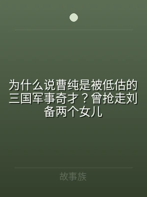为什么说曹纯是被低估的三国军事奇才？曾抢