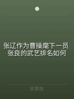 张辽作为曹操麾下一员 张良的武艺排名如何