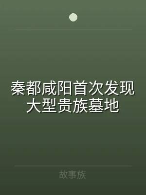 秦都咸阳首次发现大型贵族墓地