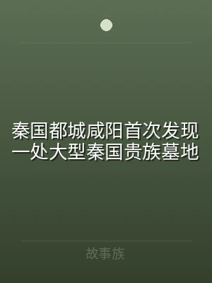 秦国都城咸阳首次发现一处大型秦国贵族墓地