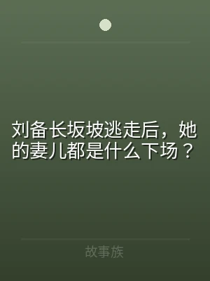 刘备长坂坡逃走后，她的妻儿都是什么下场？