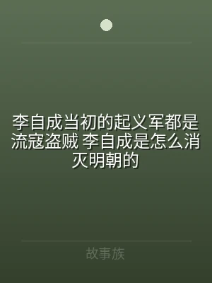 李自成当初的起义军都是流寇盗贼 李自成是