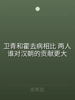 卫青和霍去病相比 两人谁对汉朝的贡献更大