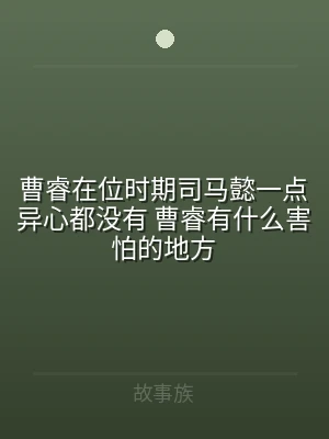 曹睿在位时期司马懿一点异心都没有 曹睿有