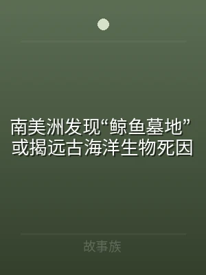 南美洲发现“鲸鱼墓地” 或揭远古海洋生物