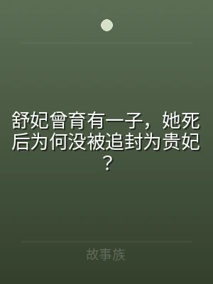 舒妃曾育有一子，她死后为何没被追封为贵妃