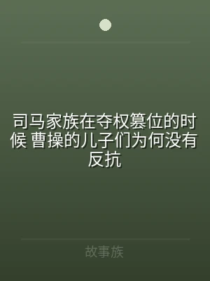 司马家族在夺权篡位的时候 曹操的儿子们为