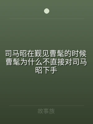 司马昭在觐见曹髦的时候 曹髦为什么不直接
