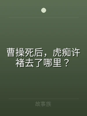曹操死后，虎痴许褚去了哪里？