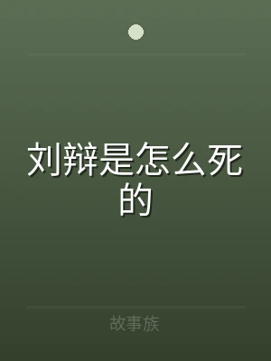 刘辩是怎么死的