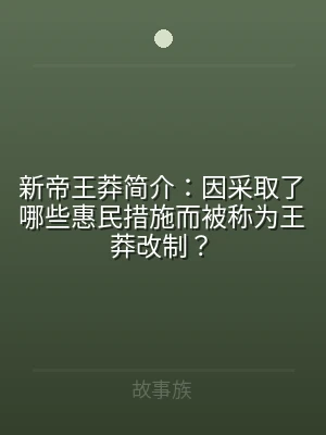 新帝王莽简介：因采取了哪些惠民措施而被称