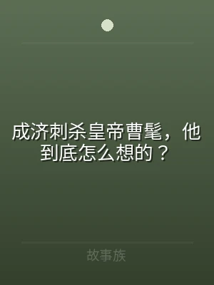 成济刺杀皇帝曹髦，他到底怎么想的？