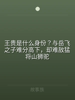 王贵是什么身份？与岳飞之子难分高下，却难