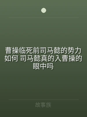 曹操临死前司马懿的势力如何 司马懿真的入