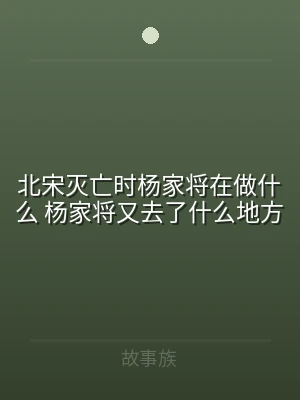 北宋灭亡时杨家将在做什么 杨家将又去了什