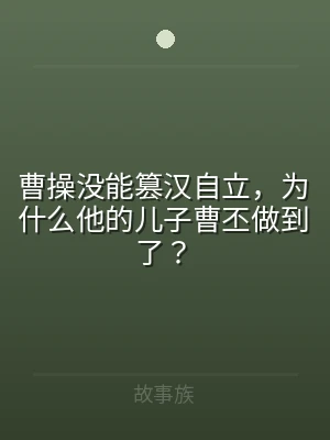曹操没能篡汉自立，为什么他的儿子曹丕做到