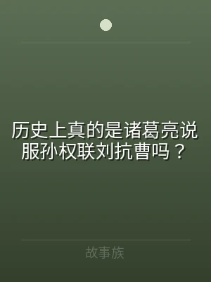 历史上真的是诸葛亮说服孙权联刘抗曹吗？