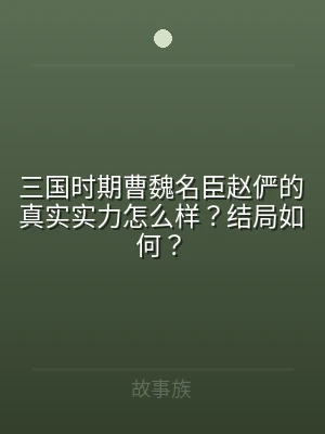 三国时期曹魏名臣赵俨的真实实力怎么样？结