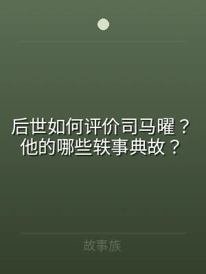 后世如何评价司马曜？他的哪些轶事典故？