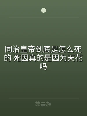 同治皇帝到底是怎么死的 死因真的是因为天