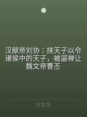 汉献帝刘协：挟天子以令诸侯中的天子，被逼