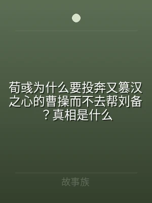 荀彧为什么要投奔又篡汉之心的曹操而不去帮
