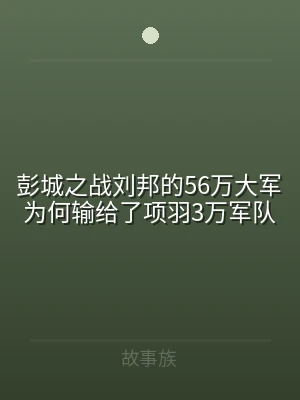 彭城之战刘邦的56万大军为何输给了项羽3