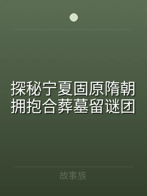 探秘宁夏固原隋朝拥抱合葬墓留谜团