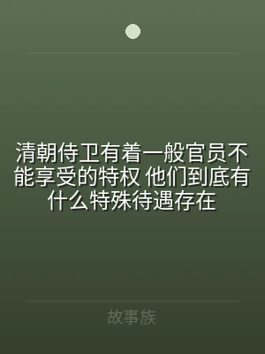 清朝侍卫有着一般官员不能享受的特权 他们