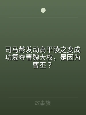 司马懿发动高平陵之变成功篡夺曹魏大权，是