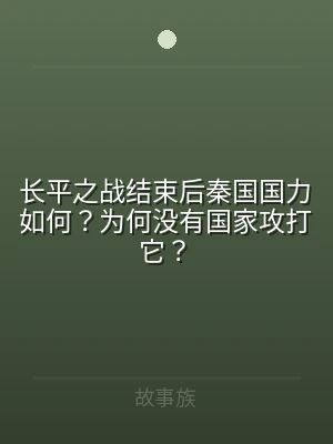 长平之战结束后秦国国力如何？为何没有国家