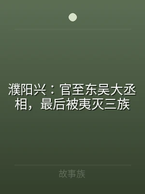 濮阳兴：官至东吴大丞相，最后被夷灭三族