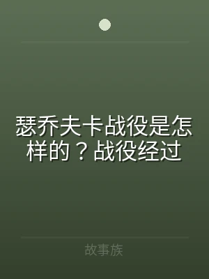 瑟乔夫卡战役是怎样的？战役经过