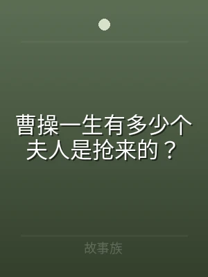 曹操一生有多少个夫人是抢来的？