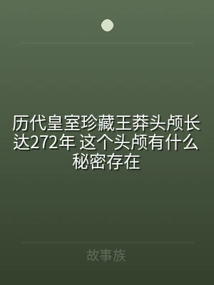 历代皇室珍藏王莽头颅长达272年 这个头