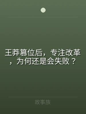 王莽篡位后，专注改革，为何还是会失败？