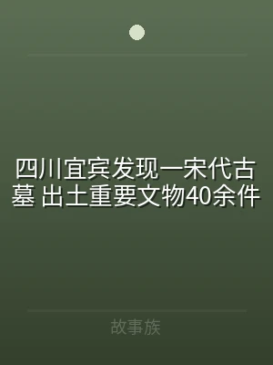 四川宜宾发现一宋代古墓 出土重要文物40